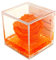 rosa vera arancione, regalo festa pensiero cerimonia, dura per sempre, stabilizzata profumata cubo 8x8x8 plexiglass