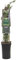 mgc24 Kletterpflanze Sichtschutz Heckenpflanze Rankpflanze Euonymus fortunei, Emerald Gaiety, Kletter-Spindelstrauch im 2l-Container 1 Pflanze
