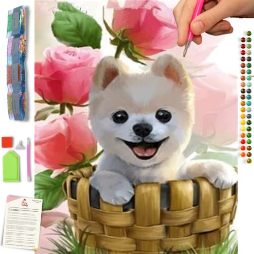 Home Melody Diamond Painting Erwachsene und Kinder - 30x40 cm, süßer Hund, 5D Diamond Painting Set Tiere, Diamant Painting Runde Diamanten, DIY Set Deko Dekoration Geschenk