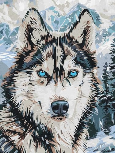 IDEYKA Malen nach Zahlen - Augen des Nordens ©art_selena_ua Malen nach Zahlen für Erwachsene, einfaches Acryl-Malen nach Zahlen für Erwachsene, mit rahmen,DIY als Geschenk, 30x40 cm