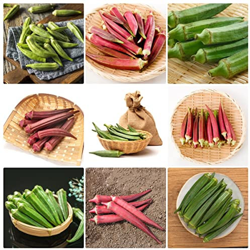 150 Stück okra samen bio - Seltene Pflanzen serie - mix flanzen garten geschenke gartenpflanze alte sorten saatgut gemüsesaat gemüse anzucht gemüsepflanzen wintergemüse