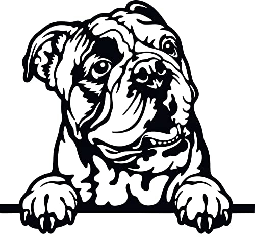 Autoaufkleber/Sticker/für Innen und Außen 28 cm schwarz Englische Bulldogge 04