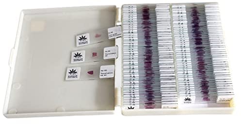KUMIAO 100 Pcs Microscope Slides with Human Cell HE Stain - Clear Imaging, Structural Transparency, Uniform Dyeing - Ideal for Lab Biology and Science Study