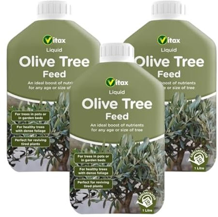 Vitax Olive Tree | Liquid Feed | Highly Concentrated | 3 x 1 Litre