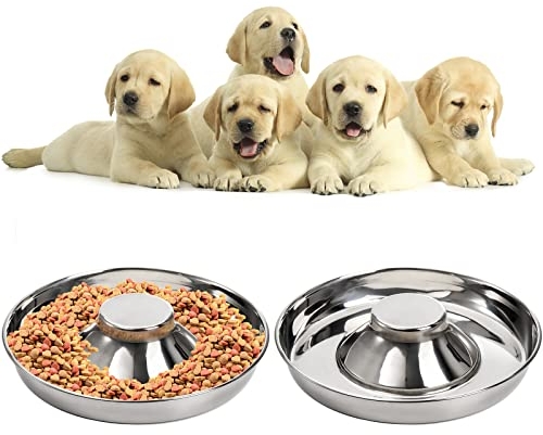 SOUJOY Lot de 2 gamelles antidérapantes en Acier Inoxydable pour Chiot, Nourriture et Eau pour Chiens de Petite, Moyenne et Grande Taille, Chats, Animaux de Compagnie