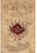 Grupo Erik - Poster Harry Potter Karte des Rumbtreibers - Kunstdruck - Deko für Wohnzimmer oder Schlafzimmer - Größe: 61 x 91 cm - Offizielle Lizenz - Harry Potter Fanartikel