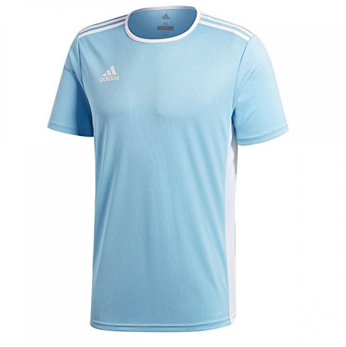 Adidas Men's Entrada 18 Jersey, Clear Blue/White, Small