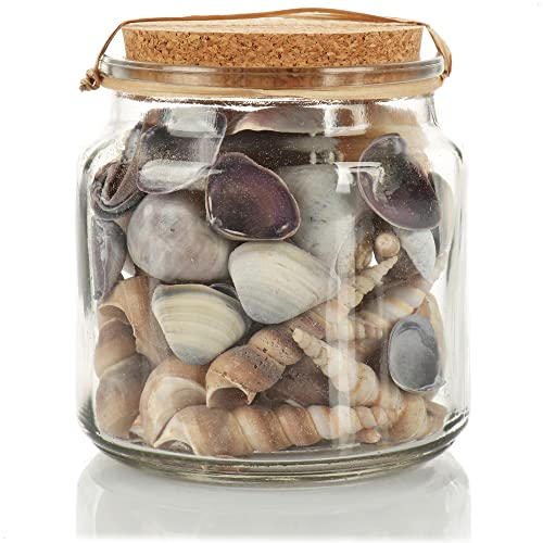 com-four® Verre décoratif rempli de beaux coquillages en gris/nature pour votre sensation de mer à la maison (1x verre - coquillages gris)