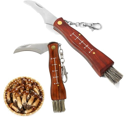 2 Coltello per Funghi Con Spazzola, Coltellino per Raccogliere in Acciaio Inox, Coltello Micologica Manico in Legno Coltellino a Serramanico da Fungh Professionale, Coltelli da Giardinaggio da Esterno