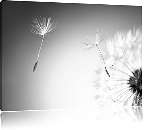Pixxprint Löwenzahn Pusteblume, Größe: 60x40cm, Leinwandbild, fertig gespannt, Wandbild, Dekoration, Kunstdruck, kein Poster