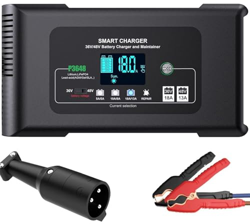 Chargeur de Chariot de Golf 48 V avec Prise Ronde à 3 Broches pour Batterie Lifepo4 au Plomb et Lithium 48 V