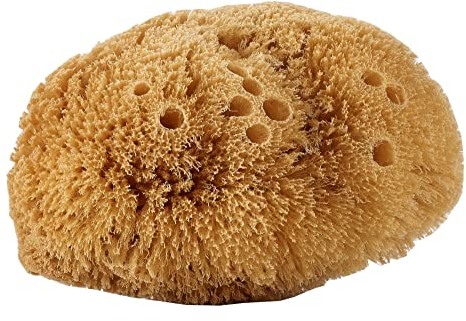 Avril Natural Body Sponge
