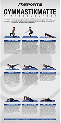 MSPORTS Übungsposter für Gymnastikmatten ca. 44x 21 cm | 9 Übungen