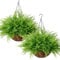 LOMOHOO Planta Artificial Colgante con Cesta, 2PCS Plantas Artificiales Colgantes como Helecho Real Plantas Artificiales Boston Plantas Artificiales balcón Decoración Exterior para jardín balcón