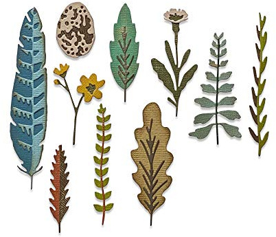 Sizzix Thinlits Stanzschablone 665215 Funky Nature von Tim Holtz 10er Pack Cutting Dies, Papier Kunststoff, Multicolore, Einheitsgröße