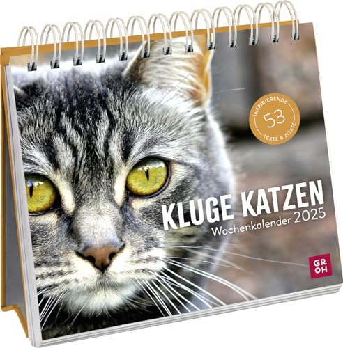 Wochenkalender 2025: Kluge Katzen: Katzenkalender zum Aufstellen mit Wochenkalendarium, Tischkalender als Geschenk für Katzenfreunde