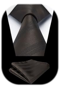 HISDERN Braun Herren Krawatte Formell Streifen Krawatte mit Einstecktuch Set Hochzeit Krawatten and Taschentuch