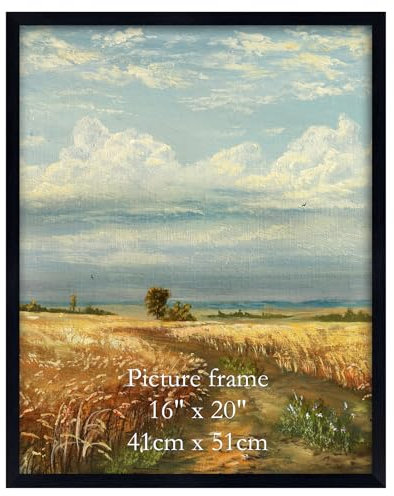 Giftgarden Cadre 40x50 cm Noir, Cadre Photo Poster 50x40 cm en PVC, pour œuvres d'art, Affiches, Certificats et Albums de Famille - 1 Pièces, pour Montage Mural Uniquement