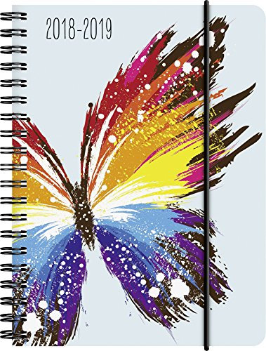 Brunnen 1072965049 Schülerkalender Schmetterling, 2018/2019