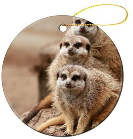 Generic Weihnachtsschmuck, Erdmännchen-Familie Weihnachtsanhänger Mit Seil Keramik Weihnachtsbaumschmuck Für Deko