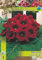 AGRONOM | Gloxinien - ETOILE DE FEU | Mehrjährige Blumenzwiebeln | Rot Blumen | Mehrjährige Blumen in Töpfen gepflanzt | 1 Blumenzwiebeln