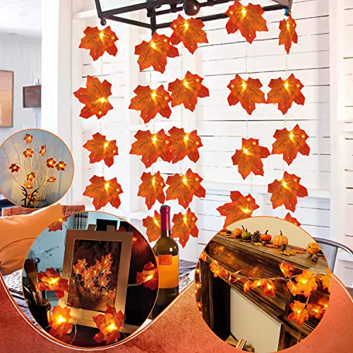 Bigzom Lichterkette Herbst, Ahornbältter lichterketten 3m 20 LED Herbst Girlande Batteriebetrieben, Herbst Lichterkette für Herbstdeko und Weihnachtsdeko Halloween Deko Party Deko Tischdeko