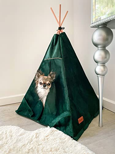 Tipi-Zelt für Katzen – Premium-Zelt für Katzen aus weichem und strapazierfähigem Material mit Stabilisator – Haus für Katzen und Hunde, leicht sauber zu halten (M (55x55x82 cm), Flaschengrün)