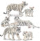 TOYMANY 6 Stück Weiße Tiger Tiere-Figuren mit Tigerjungen, Dschungeltierfiguren Spielzeugfiguren, Familienset mit Baby-Tigern Spielset, Wild Kuchen Topper Ornamente, Tiere Thema Geburtstag Party