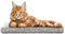 Katzen Fensterliege Fensterbank rutschfest - Katzenbett Fensterbank 50x25 cm - Weich & Kuschelig - Fensterliege für Katzen Selbstheizende Katzendecke - Waschbarer Bezug (Asche)