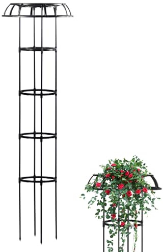 Rose Trellis for Area - | Trellis Shaped Plant Steel Equipment, Clematis Clematis, Plant Stand, Vine Support Tower, S