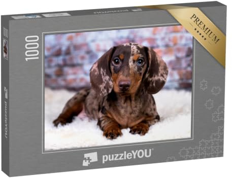 puzzleYOU: Puzzle 1000 Teile „Dackel“ – aus der Puzzle-Kollektion Hunde, Dackel