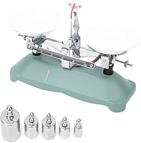 Hztyyier 100/500 Gramm Mechanische Waage Gewichten für Schulphysik Experimentierzubehör Werkzeug für Laborbedarf(100g)