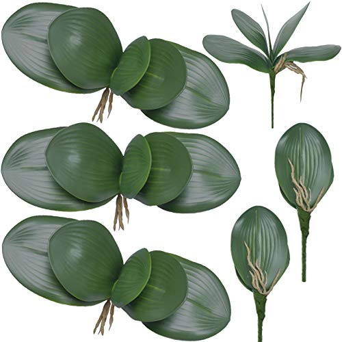FagusHome 6 Stück Künstliche Orchidee Blätter 26cm Künstliche Phalaenopsis Blätter Kunstpflanzen Grün Deko Blätter (6Pcs)