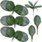 FagusHome 6 Stück Künstliche Orchidee Blätter 26cm Künstliche Phalaenopsis Blätter Kunstpflanzen Grün Deko Blätter (6Pcs)
