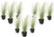Plant in a Box - Stipa - 9er Set - 'Pony Tail' - Ziergräser Pflanze Federgras Winterhart Mehrjährig - Topf 9cm - Höhe 20-30cm