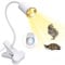 Tortoise Heat Lamp with 240CM Cable, E27 Ceramic Bulb Holder, 40CM Long Gooseneck, Reptile Heating Lamp, UVA UVB Basking Lamp, Tortoise Light, Turtle Lamp, Turtle Tank Accessories, White(No Bulb)