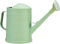 Youning Arrosoir de jardin 2 l - Petit arrosoir pour plantes d'intérieur - Avec douchette amovible - En plastique - Pour l'intérieur et l'extérieur - Vert clair