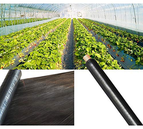 HFRSE 1 STÜCKE 14 Mikron Landwirtschaftliche Schwarze Kunststoff-Mulchfolie Erdbeere Tomaten Abdeckung Garten Unkrautbekämpfung Film(2x30M)