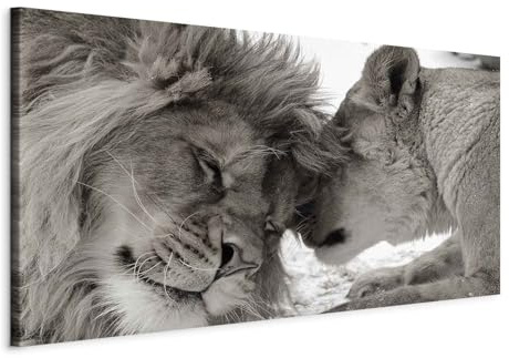 B&D XXL - Leinwandbild Liebe Afrika Tier, Schlafzimmer, Wohnzimmer, modern | Hochwertige Leinwand, sofort aufhängbar, ideal fürs Wohn- oder Schlafzimmer, wasserfest und lichtecht, langlebig, stilvoll