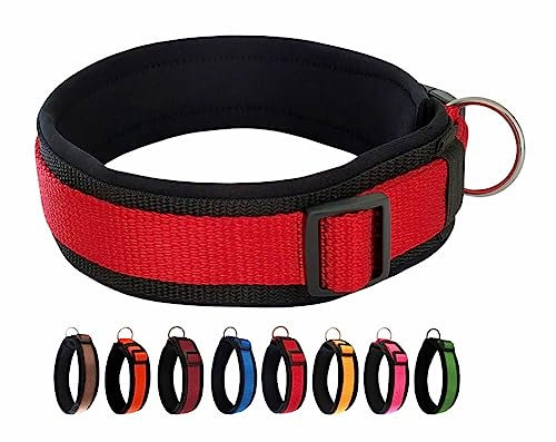 BUDDYPACK-Halsband Extra-Breit & Weich mit Neopren-Polster für Kleine und Große Hunde (Rot auf Schwarz, L)
