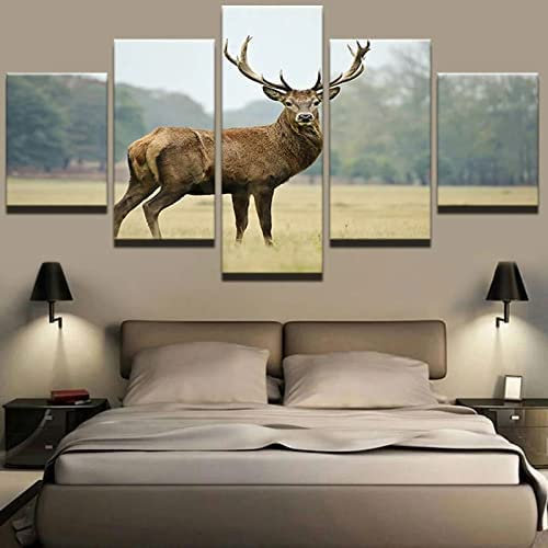 Leinwandbilder Wohnkultur Wandkunst 5 Stücktierischer Pfau Gemälde Hd-Drucke Poster Für Wohnzimmer, Schlafzimmer, Esszimmer, Büro, Kinderzimmer, Wandbild (Xxl/Ohne Rahmen 200 X 100 Cm) -3M2D-L9H3-0