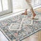 Famibay Vintage Indoor Washable Dirt Trapper Non Slip Entrance Rug Super Absorbent Low Profile Doormat Inside Floor Mat Carpet for Front Back Door Entry Pets Dogs