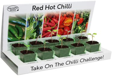 Pronto Seed Grow Your Own Chilli Plant Kit with 5 Seeds Varieties - Indoor Growing Set with Sustainable Packaging Display - Gift for Women, Men - Beginner-Friendly (Chilli Kit)