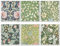 Quera William Morris Swedish Kitchen Dishcloth Vintage Floral Absorbent Cotton Kitchen Dish Towel for Party Home Housewarming Cleaning Counter Wipes 6.7 x 7.7 Inch, 6Pcs​