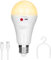 Lampadina ricaricabile USB 10 W LED E27 controllo a pulsante, intensità variabile, lampadina a batteria 2000 mAh con gancio per illuminazione di emergenza interno/esterno (bianco caldo, 1 confezione)
