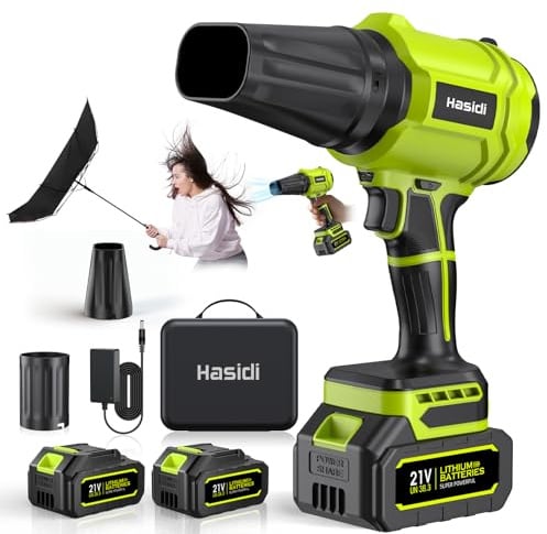 Souffleur de Feuilles sans Fil, 900 000 TR/Min, 2 Batteries, Chargeur et 2 Buses Incluses, pour Jardin, Terrasse, Voiture, Neige et Poussière, Vert Herbe
