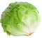 Lechuga icebergLarsen - variedad media temprana - semilla