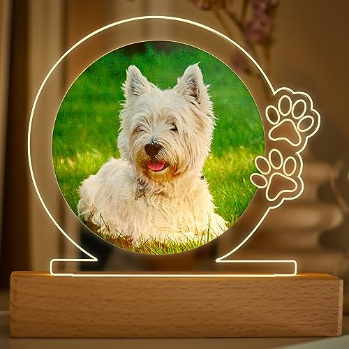 Transparent Gift Lámpara Personalizada con Foto de Mascota y Huellas. Regalos Originales y Personalizados para Amantes de los Animales. Placas Conmemorativas para Mascotas. Placa Luminosa Metacrilato