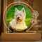 Transparent Gift Lámpara Personalizada con Foto de Mascota y Huellas. Regalos Originales y Personalizados para Amantes de los Animales. Placas Conmemorativas para Mascotas. Placa Luminosa Metacrilato