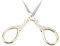 Kleine Stoffschere, Kreuzstich-Antike Nähschere, Stickschere, Kommode-Stickwerkzeug, Kleine Schere (GOLD)